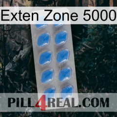 Exten Zone 5000 22